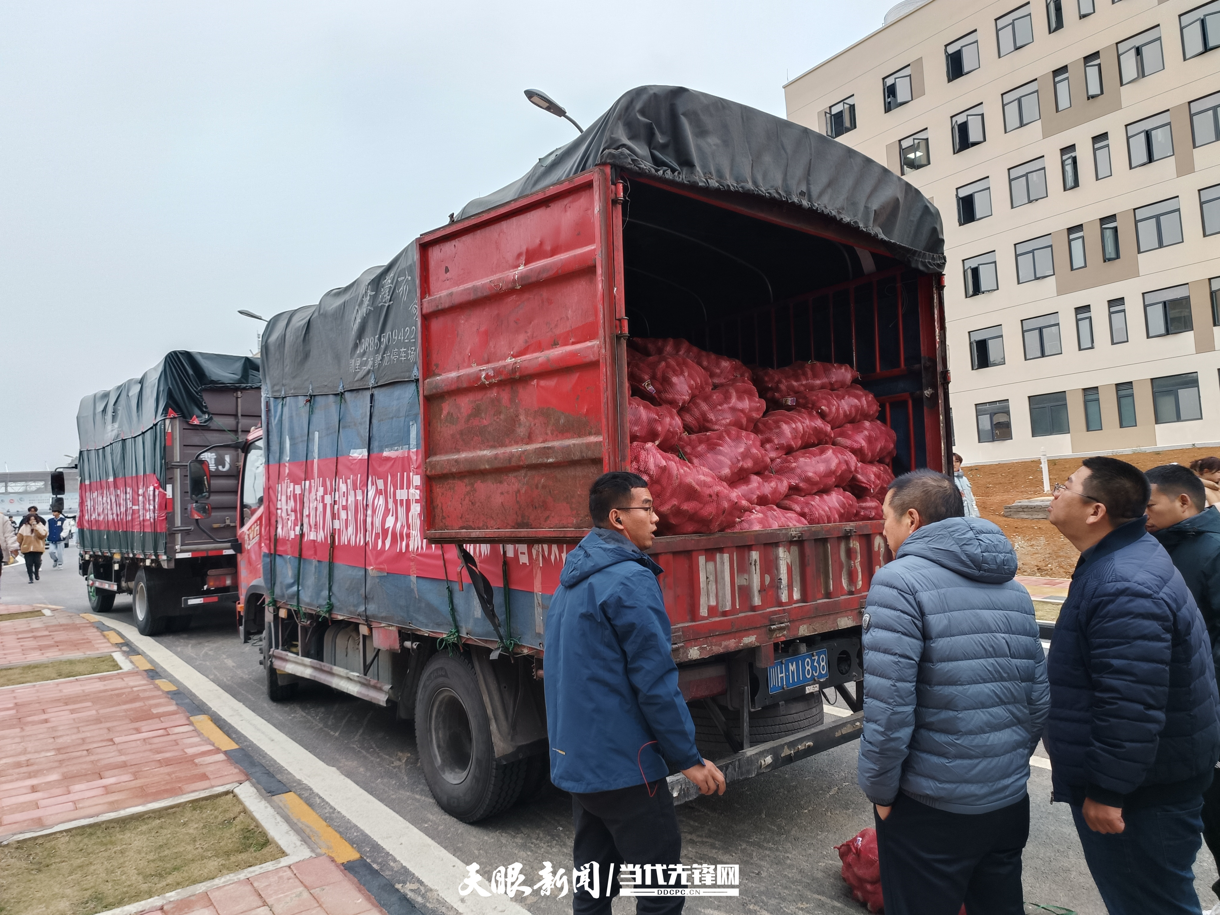 1700383491499882.jpg 货车抵达华球1.jpg