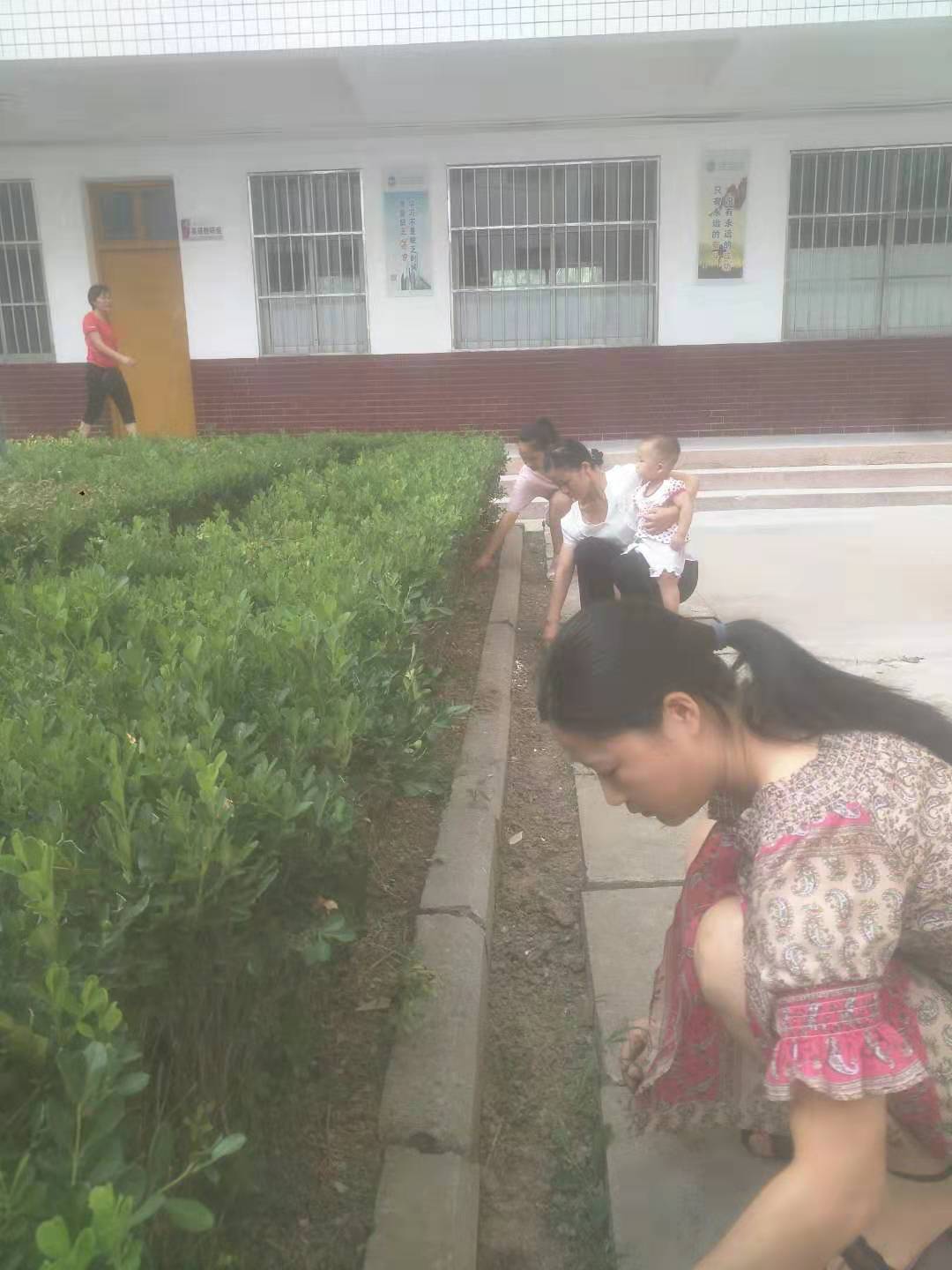 校园是我家，整洁靠大家