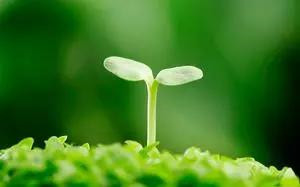 你还在把撒手不管当成静待花开吗？