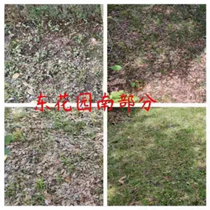 项城中专“创卫有我”志愿者活动之19秋电竞班