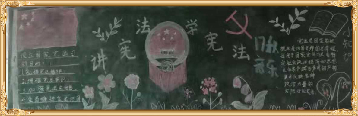 华球学宪法讲宪法 活动开展简报 第九期