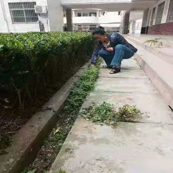 清理卫生死角 共创文明城市