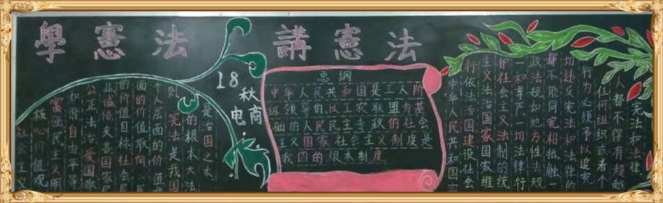 华球学宪法讲宪法 活动开展简报 第九期