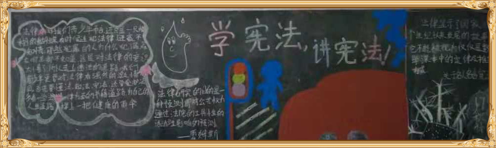 华球学宪法讲宪法 活动开展简报 第九期