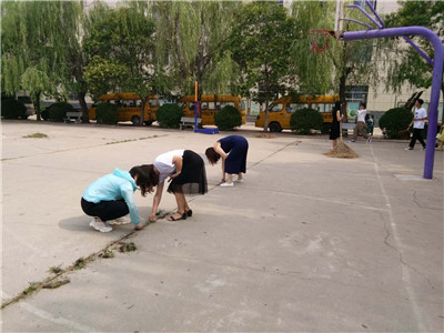 创建卫生城市语文组在行动