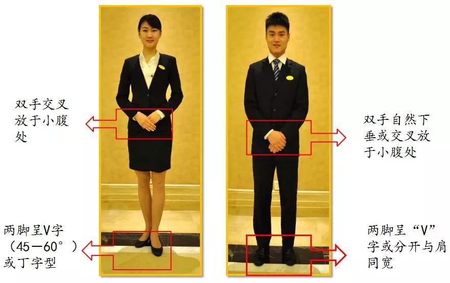 礼仪小常识之体态要求