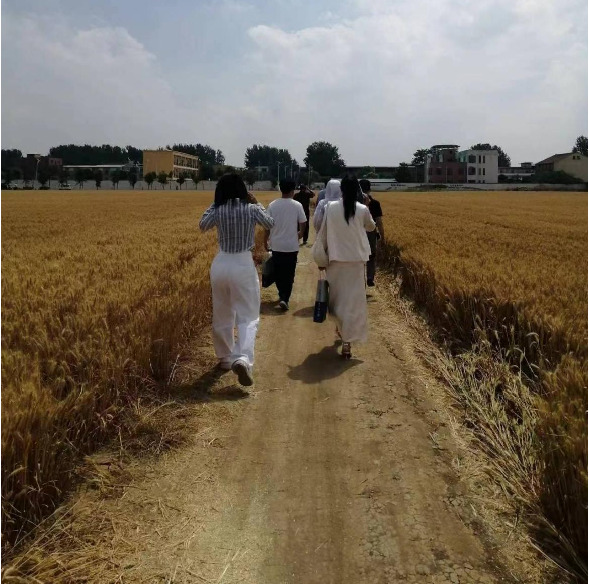 1718092020203590.png image.png